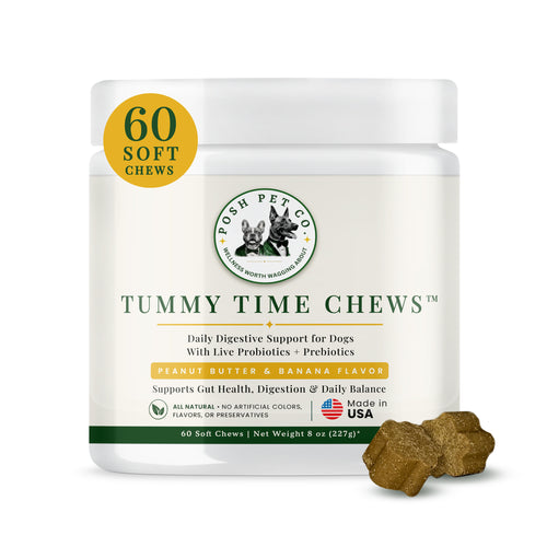 Posh Pet Co. Tummy Time Chews jar — peanut butter banana probiotic soft chews for dogs, 60 count