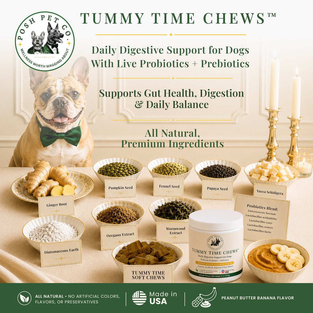 Tummy Time Chews open jar showing soft chews